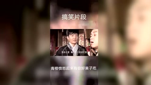 小牛短剧解说，探索微小世界中的戏剧魅力