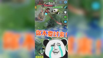 王者荣耀德古拉：廉颇塔下绕柱走，熊猫你不要过来啊！
