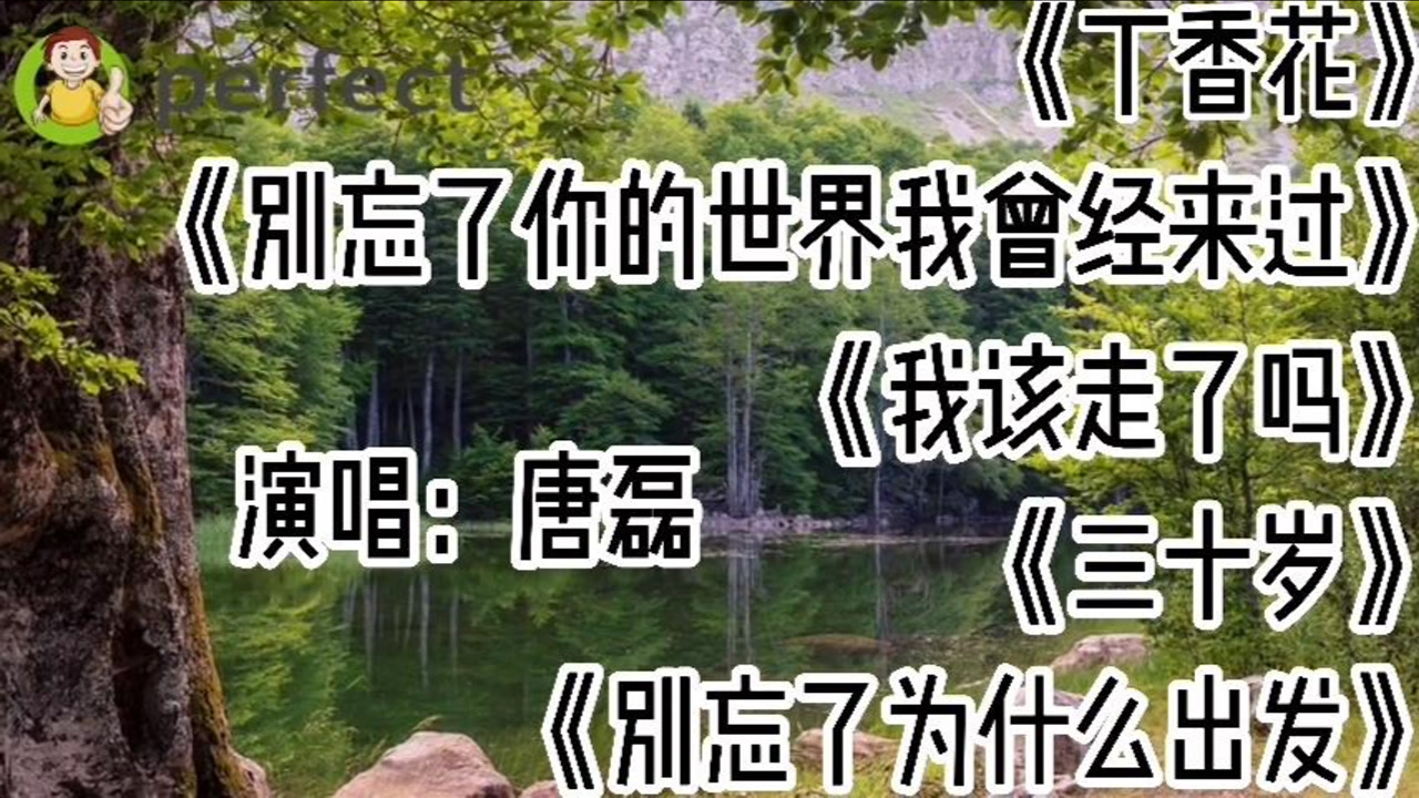 唐磊《丁香花《别忘了你的世界我曾经来过《我该走了吗《三