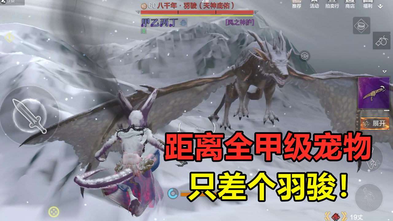 妄想山海:捕捉八千年羽骏!距离全甲级血脉宠物,只差个