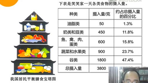 新北师大版六年级数学上册第5单元 数据处理