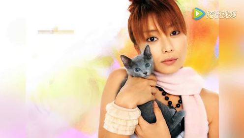 深田恭子娱乐 腾讯视频