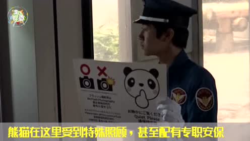 东京上野公园财经 腾讯视频