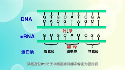 蛋白质分离机财经 腾讯视频