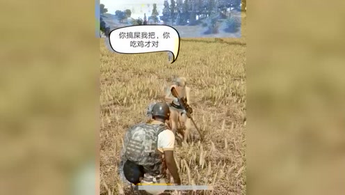 鸡圈恶搞视频，鸡圈恶搞视频大全