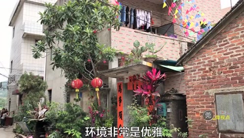 来东莞一天就被"圈粉",外国友人眼中的东莞原来是这
