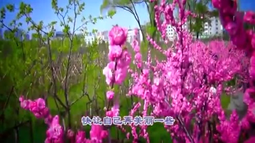 一首好听歌曲《春暖花开》樱花绽放的季节就是美!