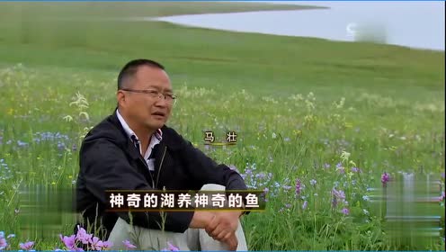 周影老总_周影