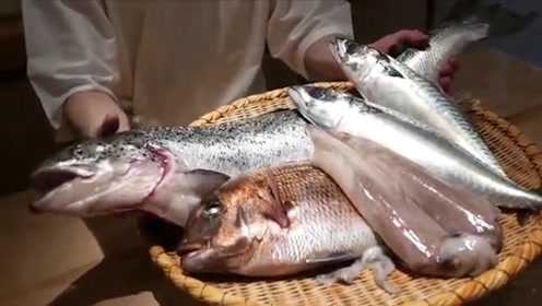 京都料理 腾讯视频