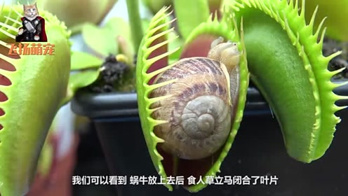 腾讯视频