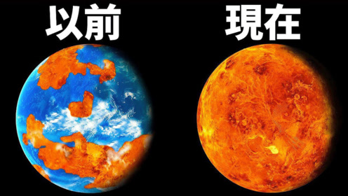 30亿年前金星像地球一样有智慧生命?直到一场大灾害,改变了一切