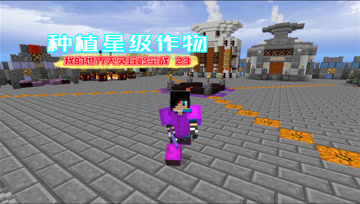 我的世界天灵丘岭空战23 种植星级作物