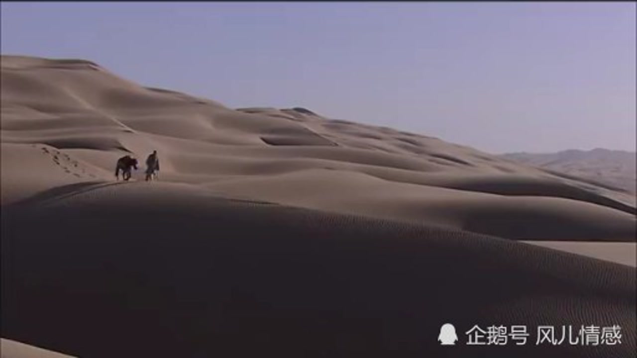 展展与罗罗《沙漠骆驼》刀郎《西海情歌》降央卓玛《走天涯》