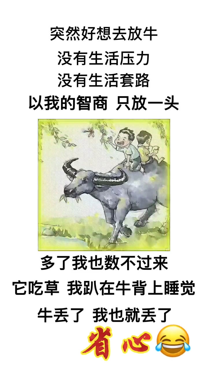 好想去放牛