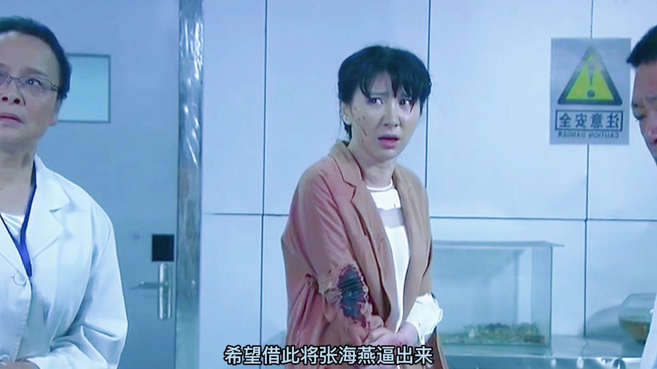 特种兵之火凤凰:张海燕被黑猫的手下劫持到鸡冠山实验室