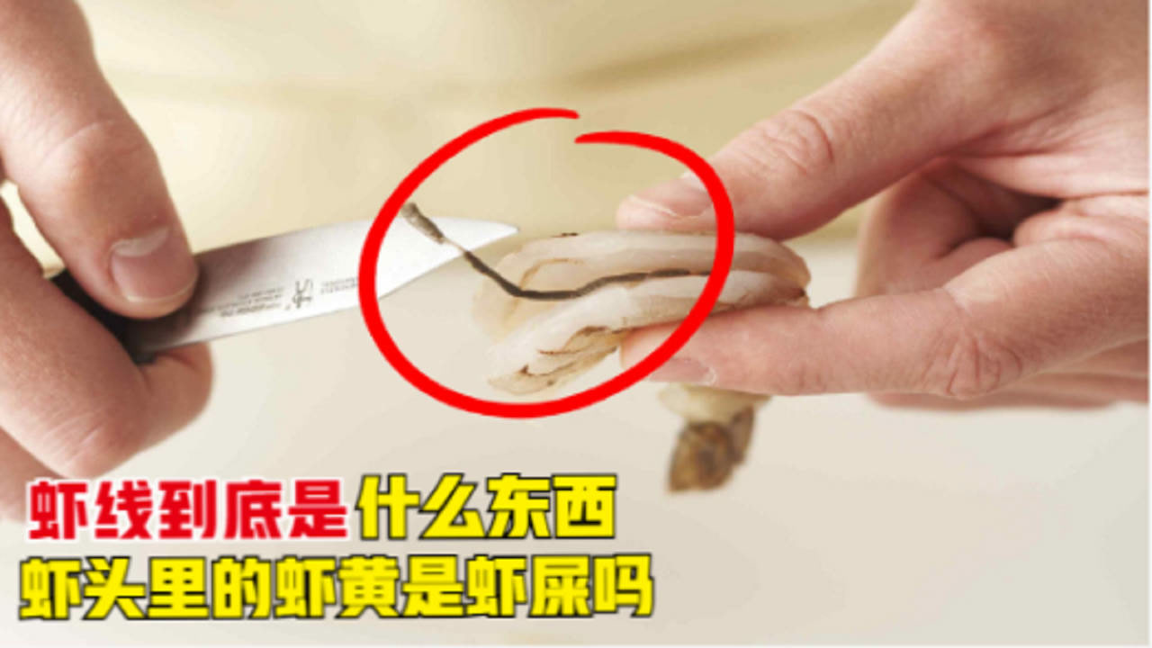 虾头里的"虾黄"是虾屎吗?人能不能吃呢?