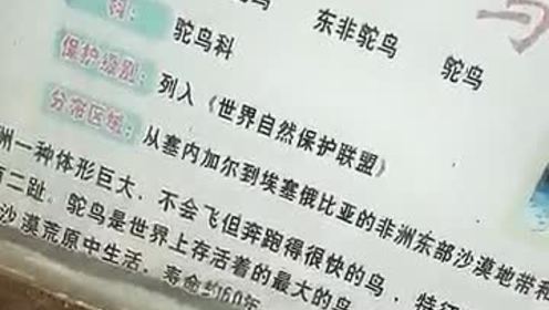 人情世故曲谱_人情世故图片