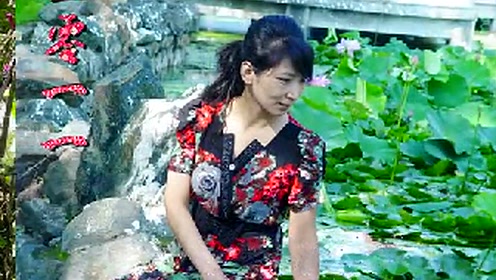 丁香雨简谱_儿歌简谱