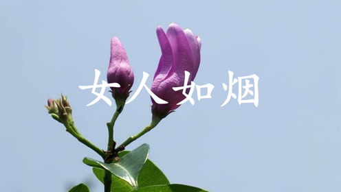 追风简谱_追风的女儿简谱(3)