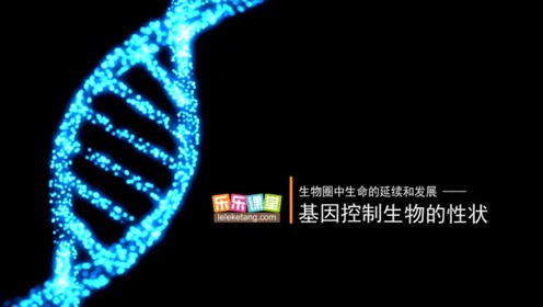 八年级生物下册七单元第1章 生物的遗传和变异1.基因控制生物的性状