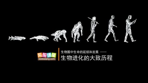 八年级生物下册七单元第3章 生物的进化 2.生物进化的历程