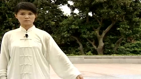 陈式22式太极拳教学 基本功手型与步型演讲 马畅 腾讯视频