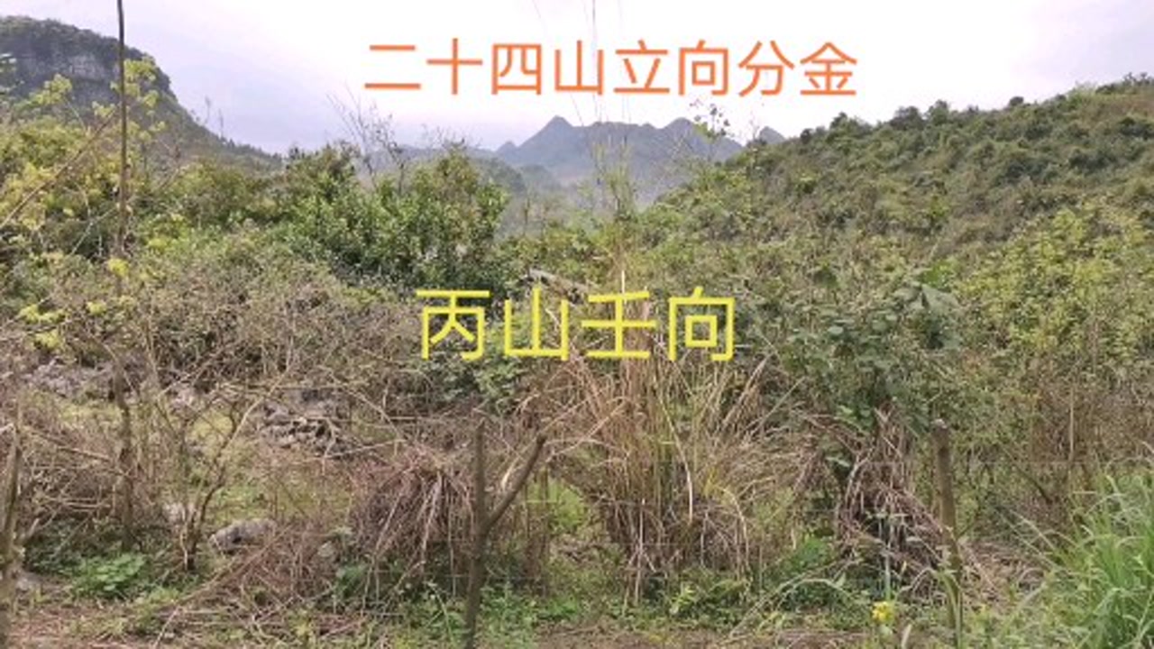 二十四山立向分金,丙山壬向(十三,分享