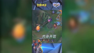 LOL小智：舍身取义，肉身开团取胜
