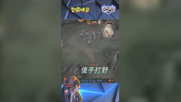LOL小智：上路遭遇终极针对，我们家打野是傻子把！