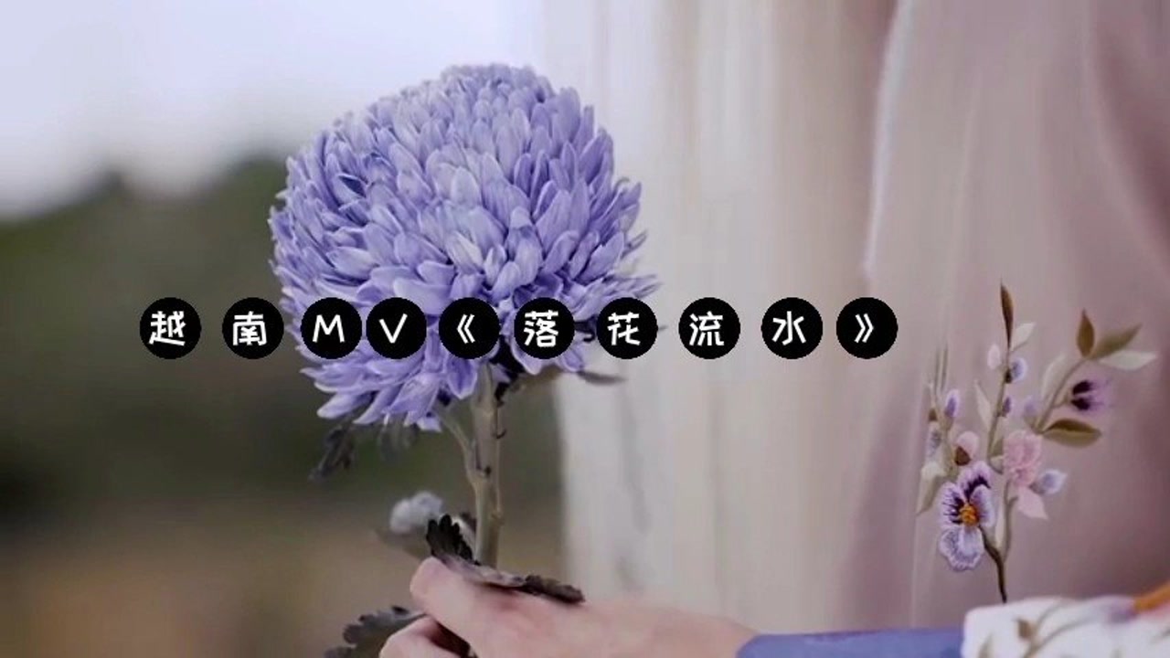 越南mv落花流水,结局很反转