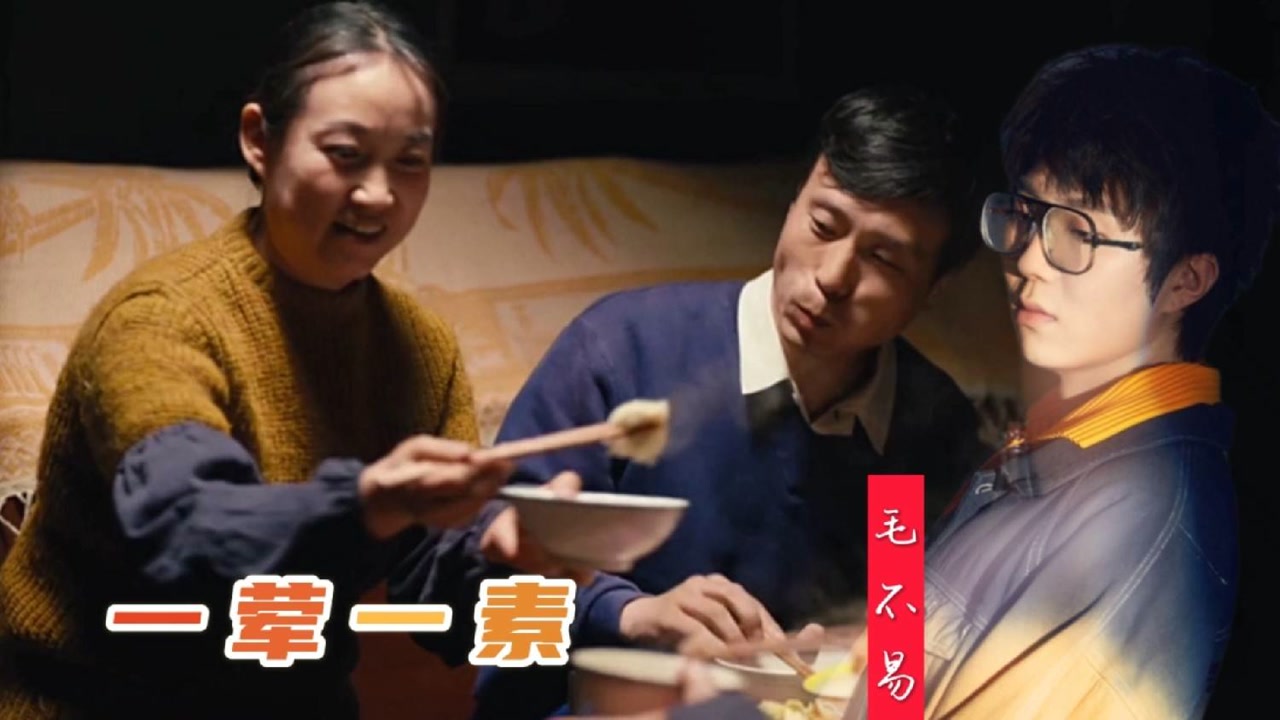 毛不易写给母亲的歌一荤一素特别版mv平静的歌声却有着饱满的感情让人