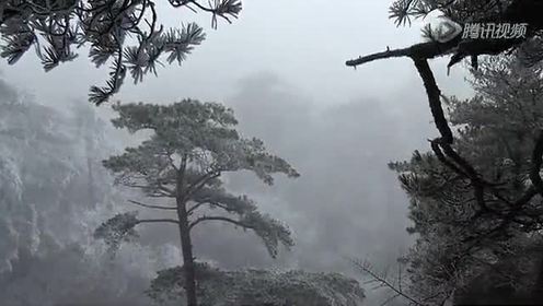 泛泛之辈简谱_厉娜泛泛之辈