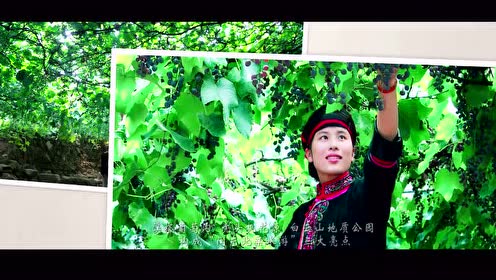 二年级语文上册11 葡萄沟