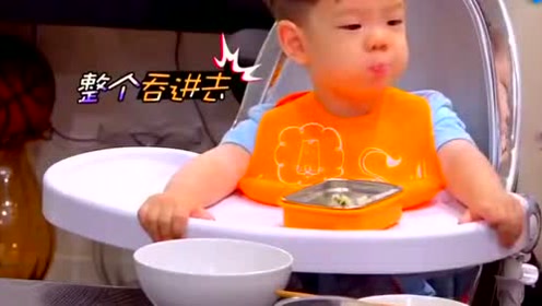 逗逗奶短剧，欢乐的演绎与生活的微妙