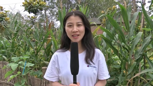 王青青婚纱照_婚纱照风格(3)
