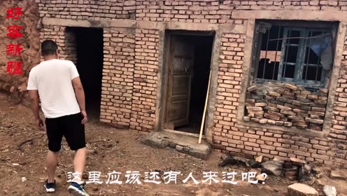 张卜村人口_卜花村