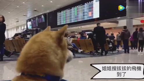干后庭花 加薇信 vipdvsp 腾讯视频