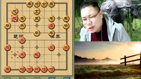 老雷象棋直播