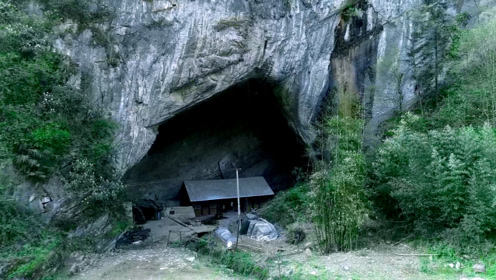贵州一户人家隐居山洞几代人,还在洞里养了几十头猪,与世无争!