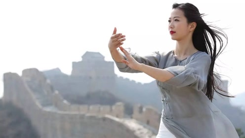 简化太极拳 忽雷太极拳视频大全