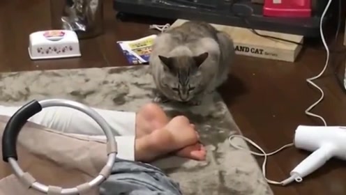 猫为什么突然咬人了,是忍受不了我的臭脚丫子味了吗,我刚洗的脚!