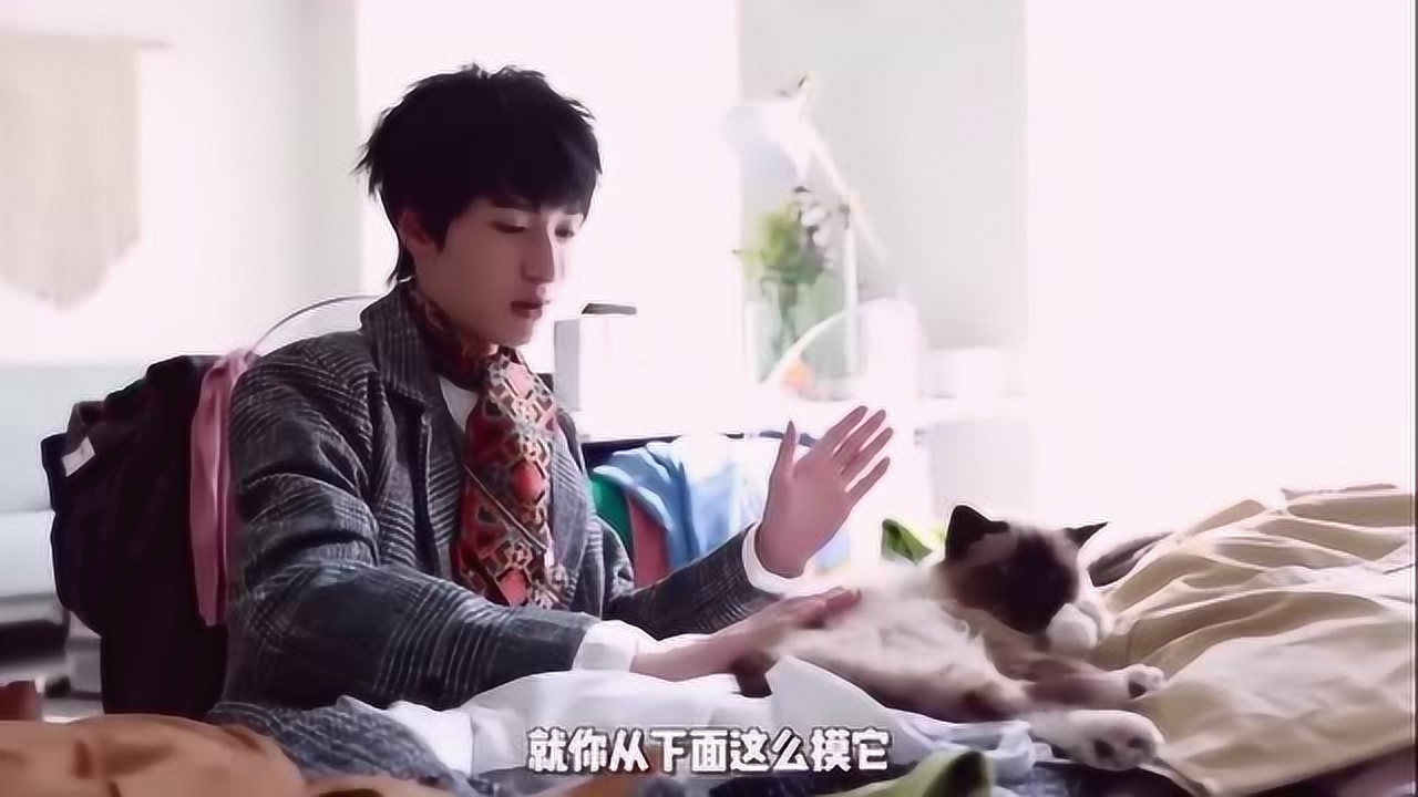 三倍流畅播放 4k超清体验  00:47   时代少年团严浩翔逗猫,这是什么