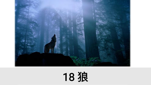 七年級(jí)語文上冊(cè)18 鳥(梁實(shí)秋)