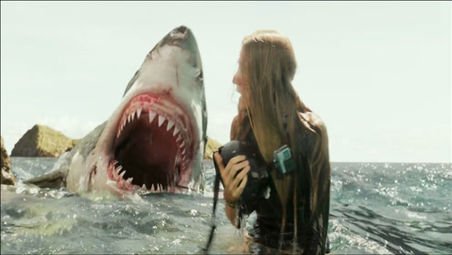 女子被鲨鱼袭击 独自一人被困在一块礁石上《沙滩》