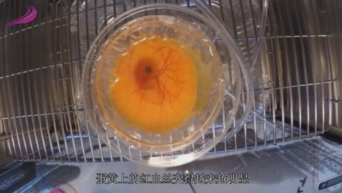 腾讯视频