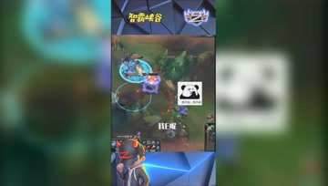 LOL小智：脑淤血小鱼人追杀残血，我E不出来啊
