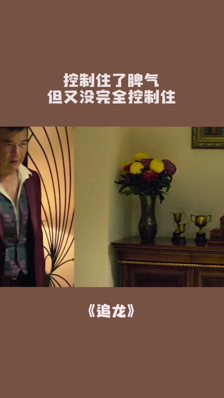 今天要不是给洛哥面子,我这条腿今晚就找你要回来啊#追龙