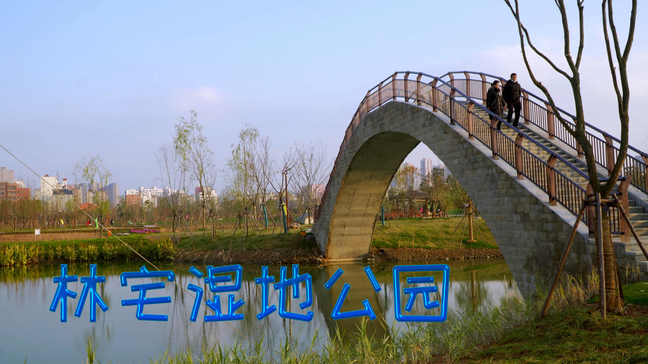 乐清市林宅湿地公园一期已经开放了,特地带上儿子游览投资10亿元的