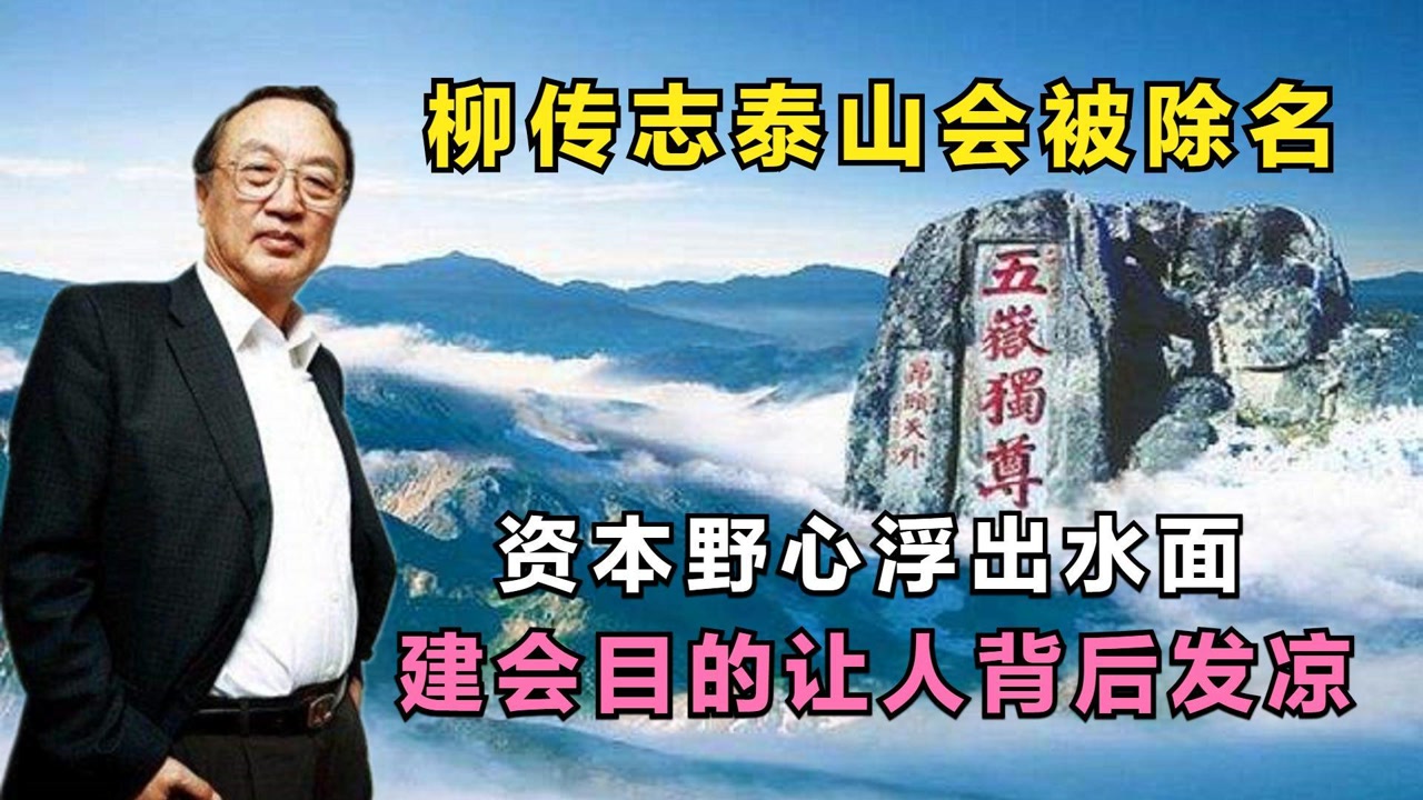 柳传志泰山会被除名,资本野心浮出水面,建会目的让人背后发凉
