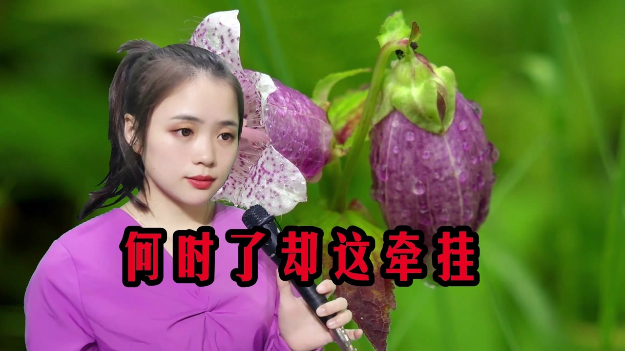 一首情歌对唱《何时了却这牵挂》歌声温柔甜蜜,梦里梦外都是你!